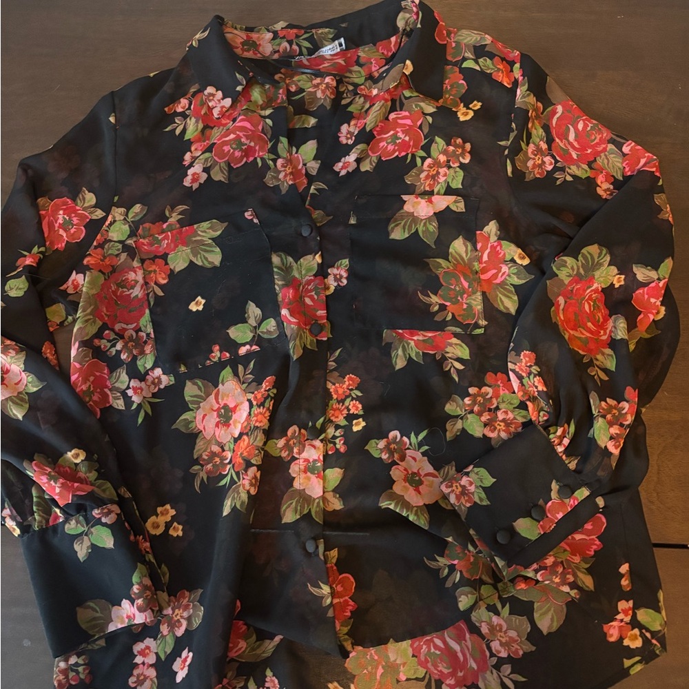 Zara Size Small Floral Sheer Blouse